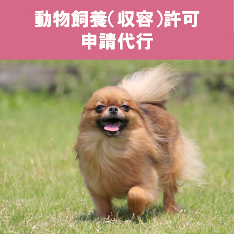 動物飼養（収容）許可申請代行