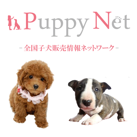 全国子犬販売情報ネットワーク｜パピーネット